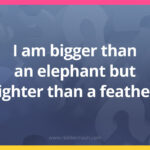 I am bigger than an elephant but lighter than a feather.