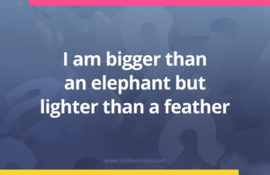 I am bigger than an elephant but lighter than a feather.