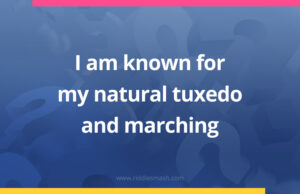 I am known for my natural tuxedo and marching.