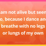 I am not alive but seem so, because I dance and breathe with no legs or lungs of my own.