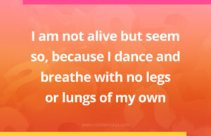 I am not alive but seem so, because I dance and breathe with no legs or lungs of my own.