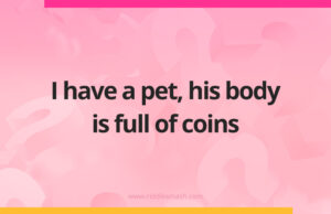 I have a pet, his body is full of coins.
