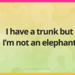 I have a trunk but I’m not an elephant.
