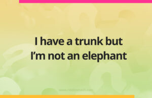I have a trunk but I’m not an elephant.