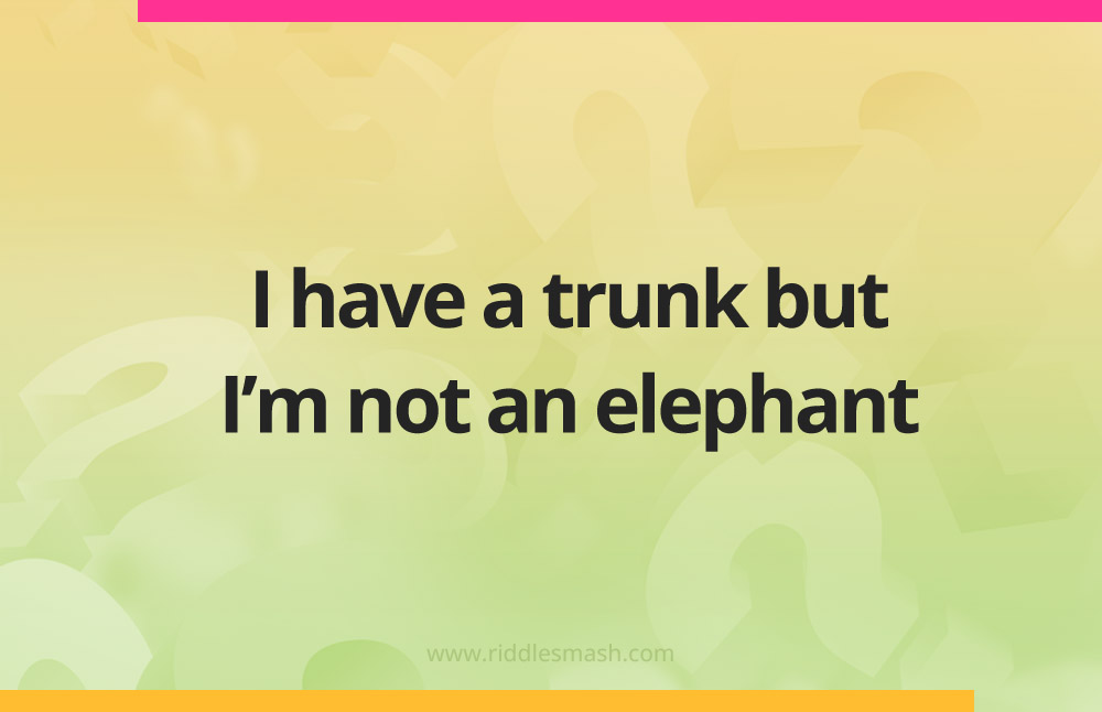 I have a trunk but I’m not an elephant.