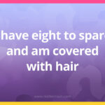 I have eight to spare and am covered with hair.