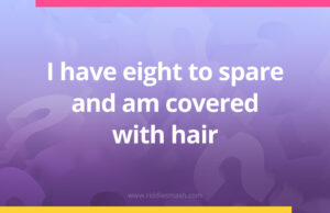 I have eight to spare and am covered with hair.