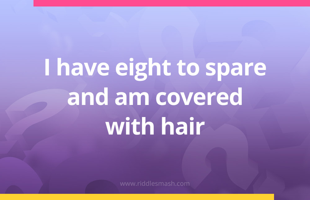 I have eight to spare and am covered with hair.