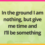 In the ground I am nothing, but give me time and I'll be something.