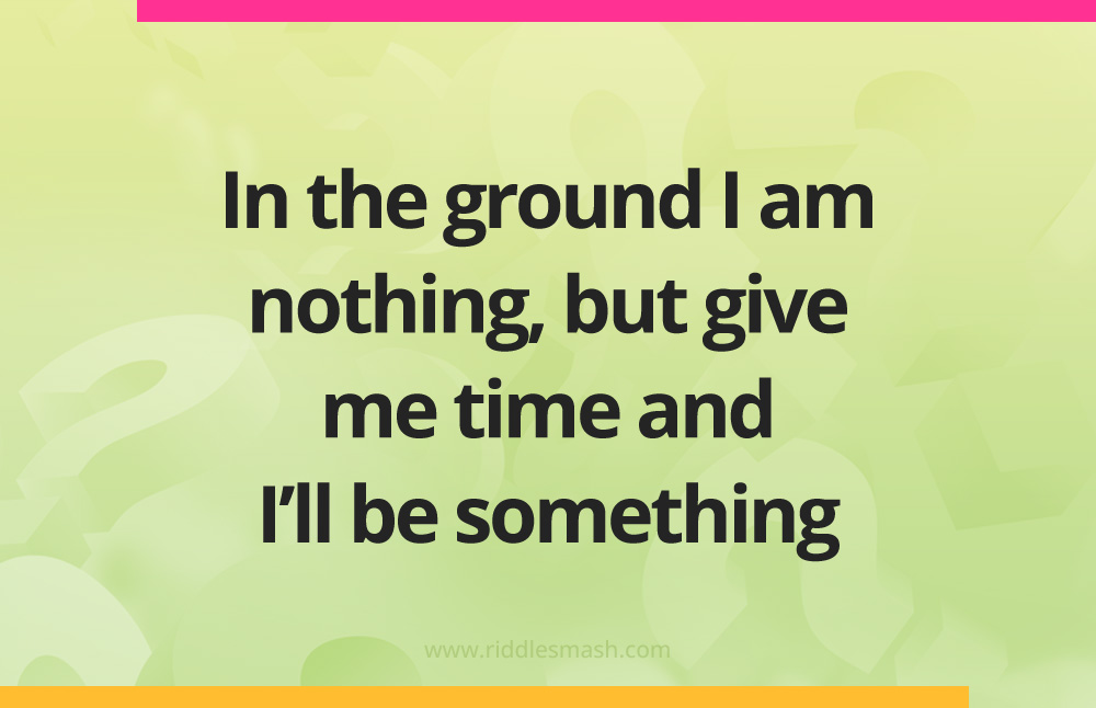 In the ground I am nothing, but give me time and I'll be something.