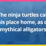 The ninja turtles call this place home, as do mythical alligators.