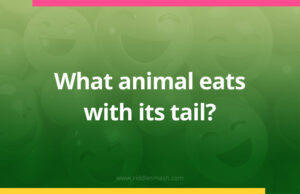 What animal eats with its tail?