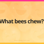 What bees chew?