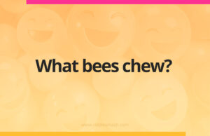 What bees chew?