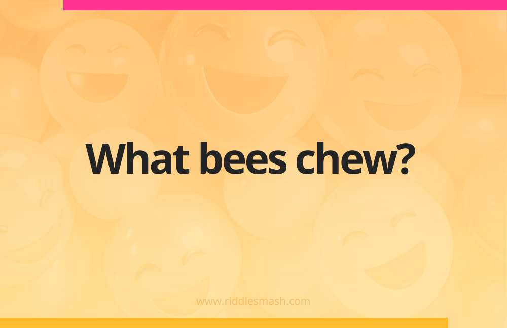 What bees chew?