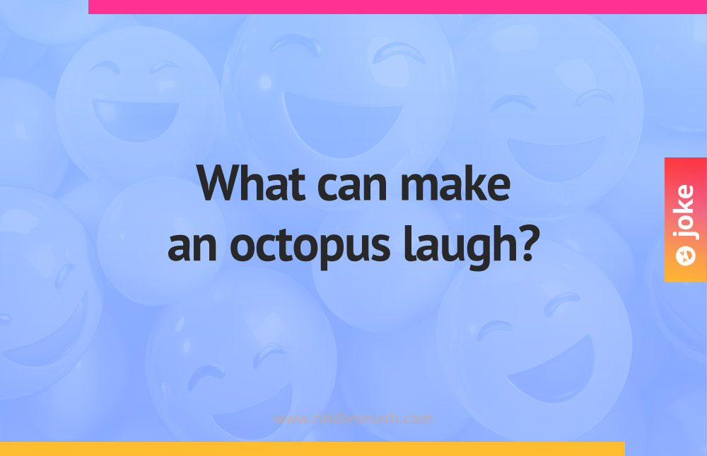 What can make an octopus laugh?