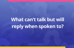 What can't talk but will reply when spoken to​?