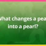 What changes a pear into a pearl?