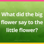 What did the big flower say to the little flower?