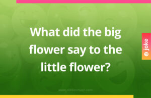 What did the big flower say to the little flower?