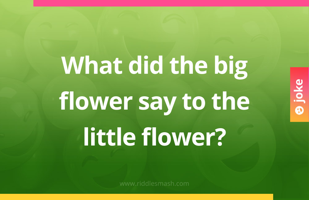 What did the big flower say to the little flower?