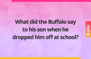 What did the Buffalo say to his son when he dropped him off at school?