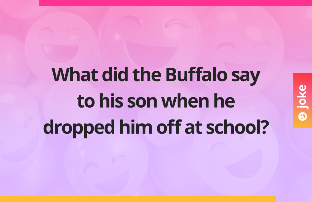 What did the Buffalo say to his son when he dropped him off at school?