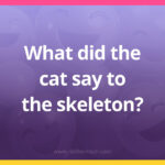 What did the cat say to the skeleton?