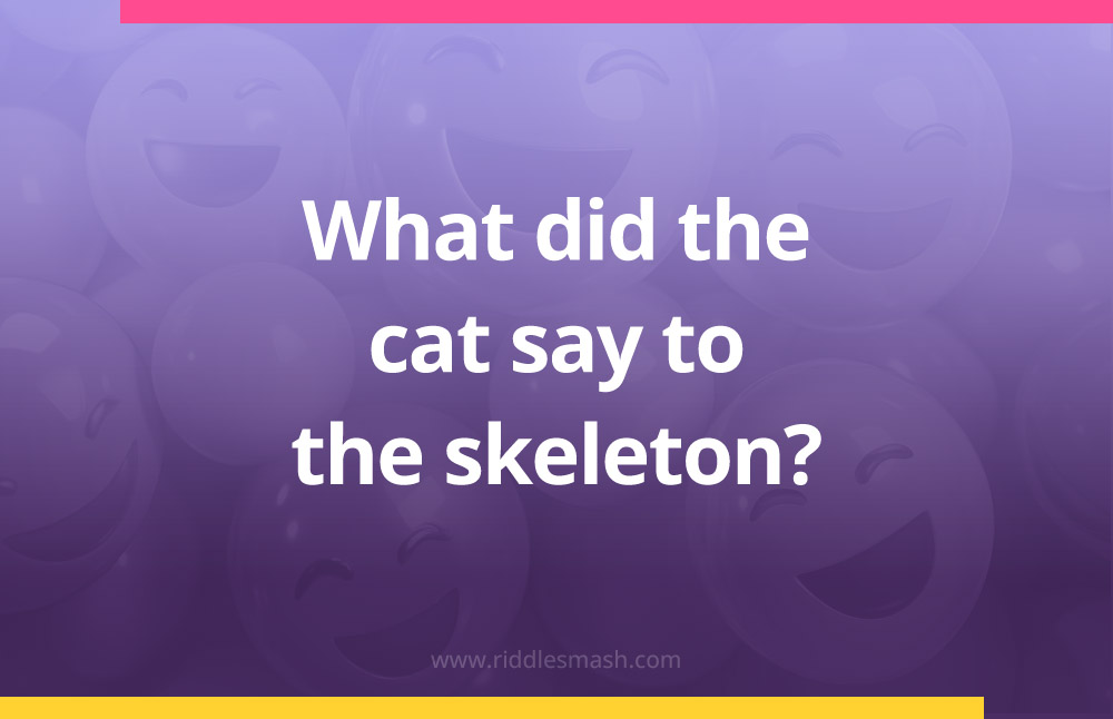 What did the cat say to the skeleton?