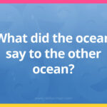 What did the ocean say to the other ocean?