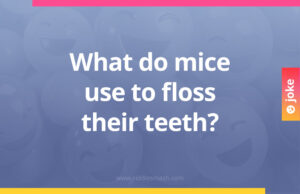 What do mice use to floss their teeth?