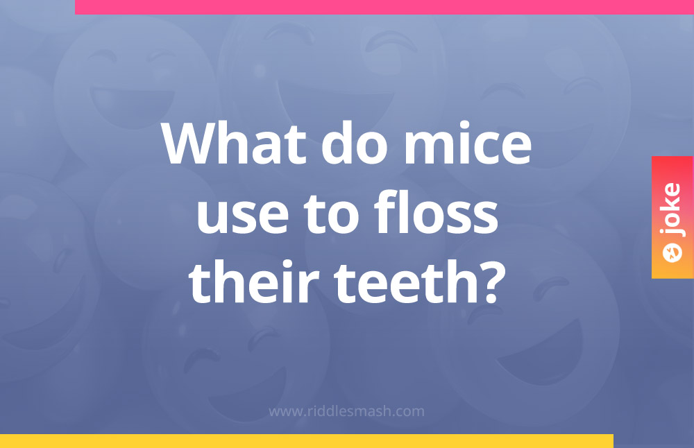 What do mice use to floss their teeth?