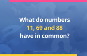 What do numbers 11 69 and 88 have in common​?