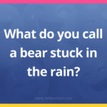 What do you call a bear stuck in the rain?