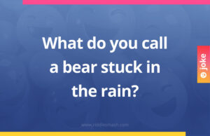 What do you call a bear stuck in the rain?