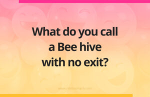 What do you call a Bee hive with no exit?