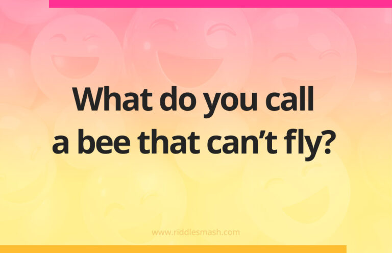 Bee Lift Riddle What do you call a bagel that can fly? - Riddlesmash