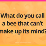 What do you call a bee that can't make up its mind?