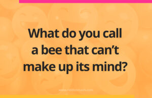 What do you call a bee that can't make up its mind?
