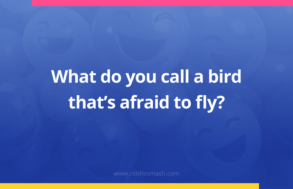 What do you call a bird that's afraid to fly?