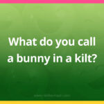 What do you call a bunny in a kilt?