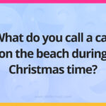What do you call a cat on the beach during Christmas time?