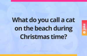 What do you call a cat on the beach during Christmas time?