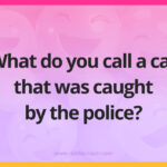 What do you call a cat that was caught by the police?