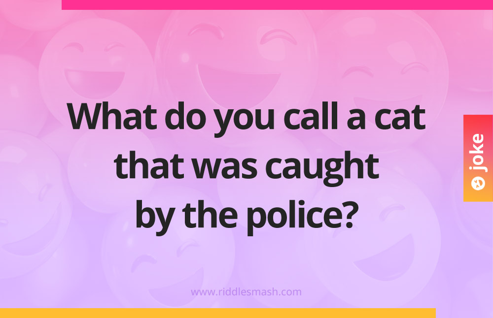 What do you call a cat that was caught by the police?