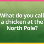 What do you call a chicken at the North Pole?