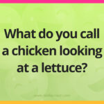 What do you call a chicken looking at a lettuce?