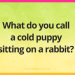 What do you call a cold puppy sitting on a rabbit?