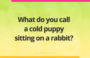 What do you call a cold puppy sitting on a rabbit?