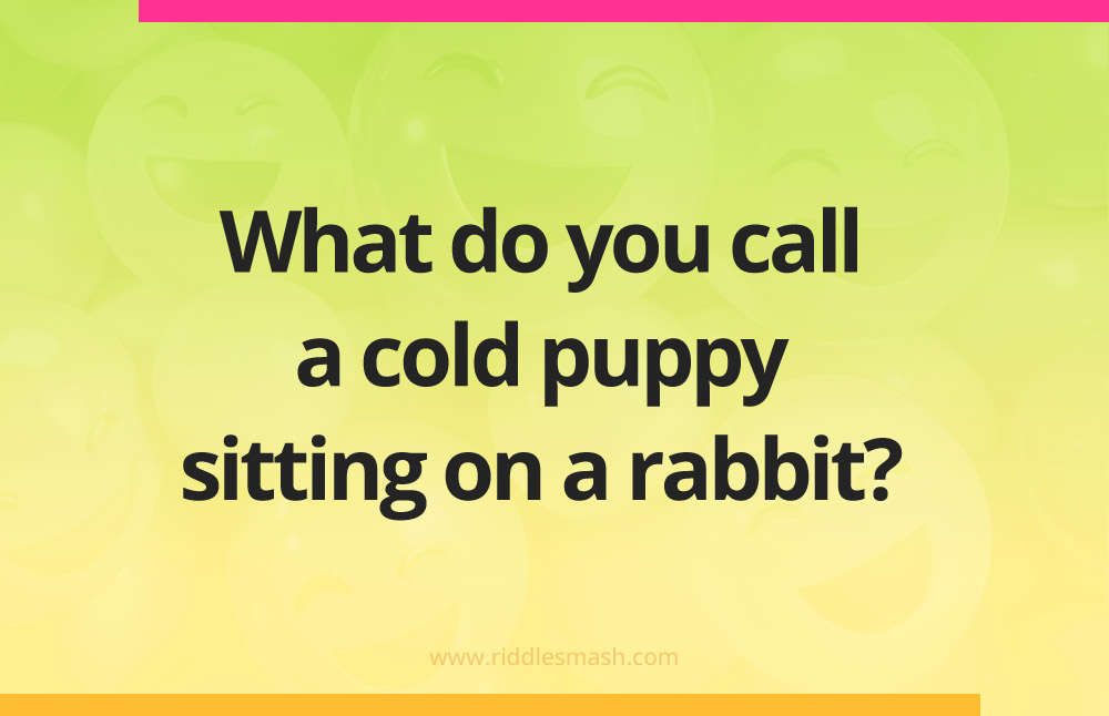 What do you call a cold puppy sitting on a rabbit?